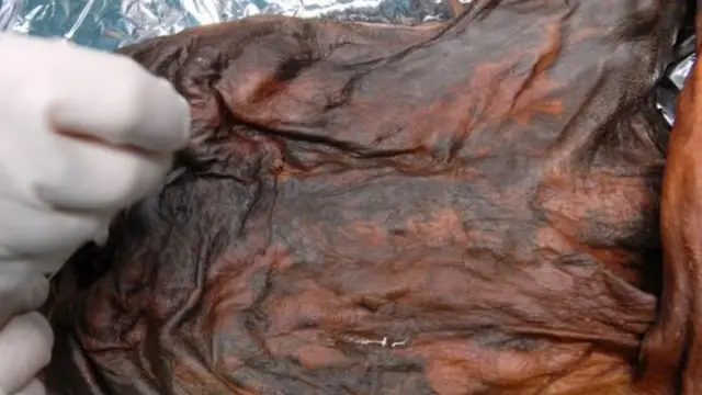 Toma cercana de los restos de Otzi