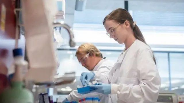 研究人员在疫苗研发过程中。