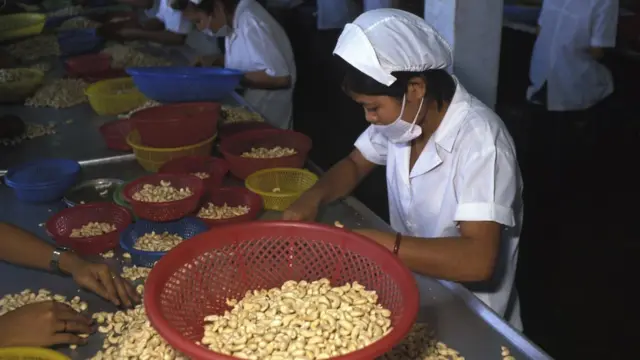 Một cơ sở chế biến hạt điều ở Thành phố Hồ Chí Minh