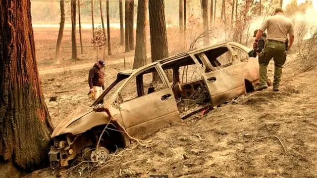 जंगल की आग