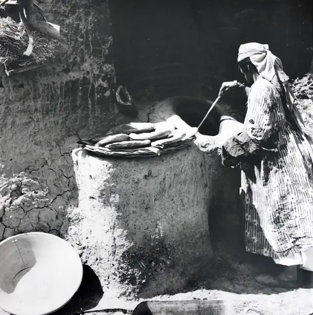 گنجینه افغانستان