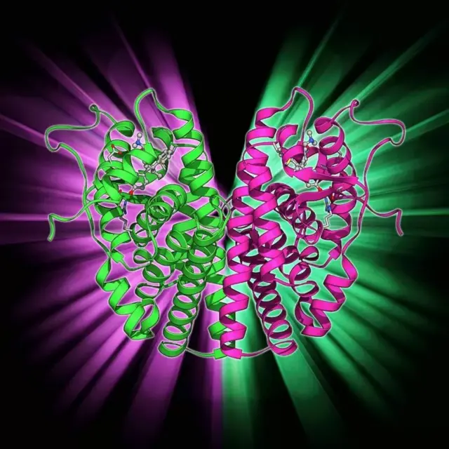 Recerche la pilule du lendemain ratée qui a fini par sauver des millions de vies BBC News