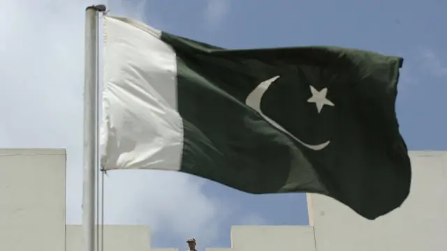पाकिस्तानी झंडा