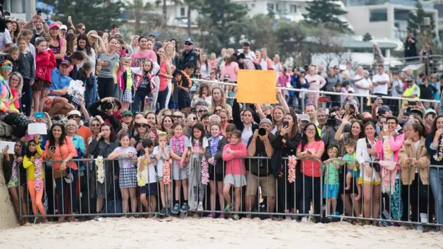 ограждения у пляжа