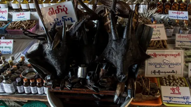 တိရစ္ဆာန်ထွက်ပစ္စည်း အရောင်းဆိုင်