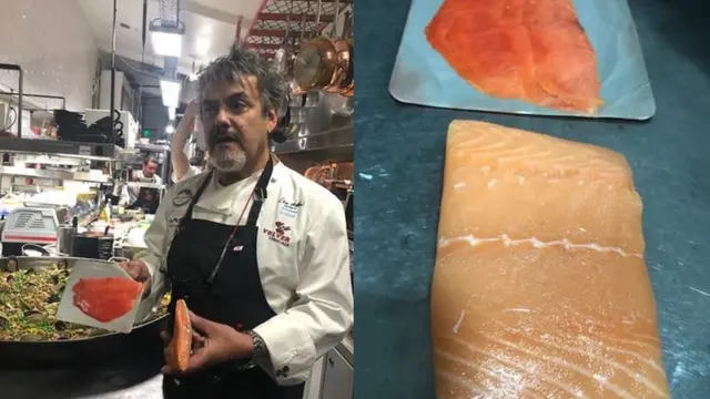 chef mostra diferenças entre salmões de cativeiro e selvagens