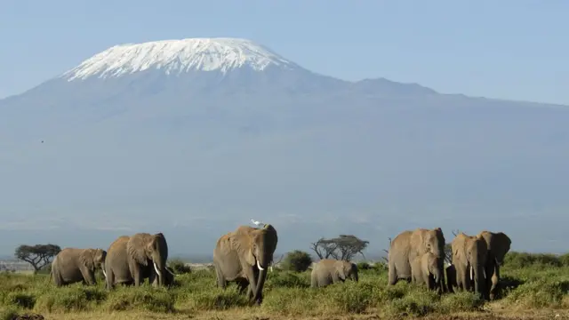 Kilimanjaro