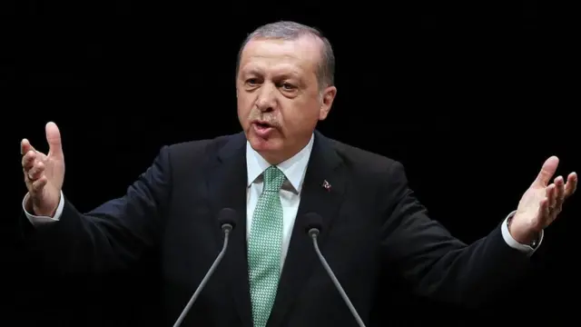 د ترکیې ولسمشر رجب طیب اردوغان