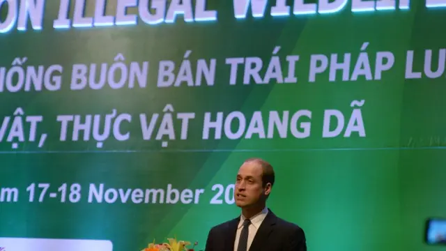 Hoàng tử Anh William đọc diễn văn ở hội nghị Chống buôn bán động vật hoang dã Bất hợp pháp ở Hà Nội tháng 11/2016