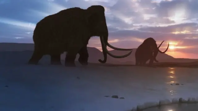 mamoths
