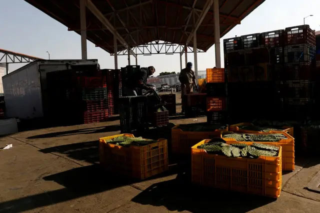 नोपल कैक्टस