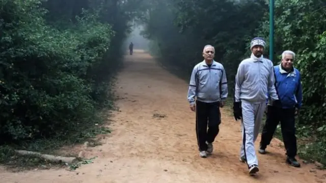 காலையில் நடைபயிற்சி