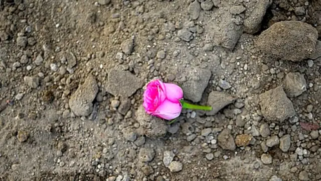 "ගමේ හැමෝම මගේ දිහා බලන්නේ අමුතු සතෙක් දිහා බලනවා වගේ.