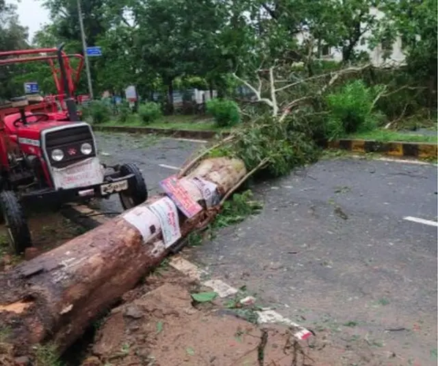 బాలేశ్వర్‌లో కూలిన చెట్టు