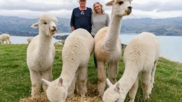 न्यूजील्यान्ड