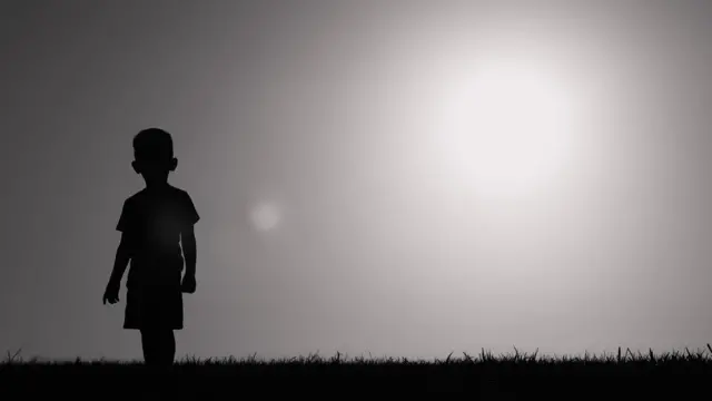 બાળકની કસ્ટડી દાદા-દાદીને સોંપવામાં આવી હતી જેની સામે બાળકની કસ્ટડી મેળવવા માટે મૃતક સ્મીતાનાં મોટાં બહેન દ્વારા ગુજરાત હાઇકોર્ટમાં અપીલ કરવામાં આવી હતી