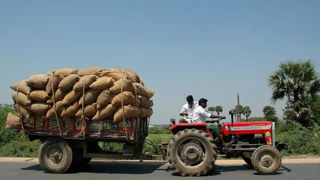 কৃষকরা চাল নিয়ে যাচ্ছেন।