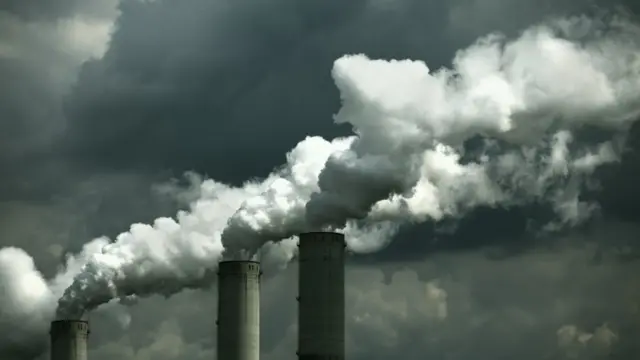 Ўзгаришлар миграция йўналиши ва даражасида ҳам асосий ўрин тутган