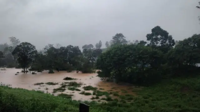 கனமழை: உருண்டோடும் வெள்ளம்; தத்தளிக்கும் வால்பாறை