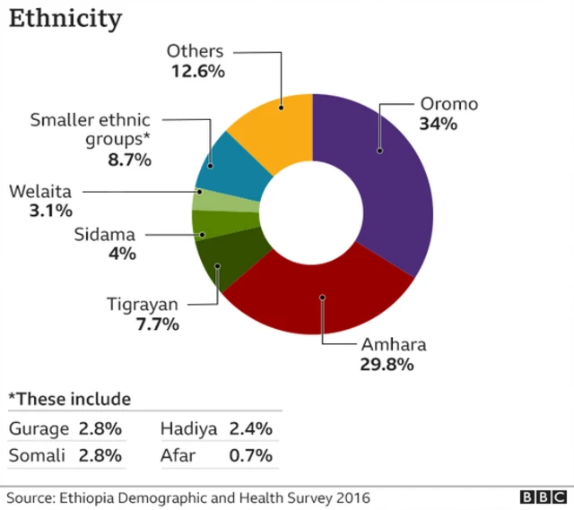 Graphic showing the different ethnicities in Ethiopia