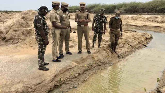 வனத்துறை