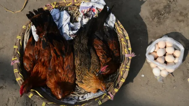 چرګه
