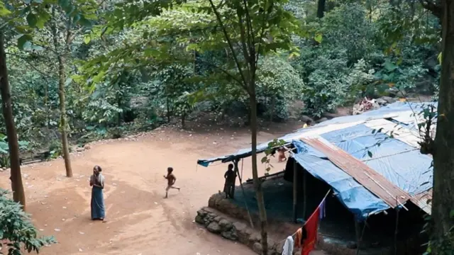 கேரள ஆதிவாசி