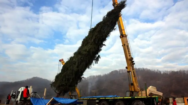 великий бичків