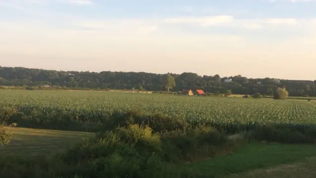 ሓምለዋይ ከባቢ