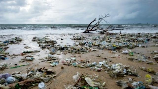 Lixo acumuladopix bet365 futebolpraia