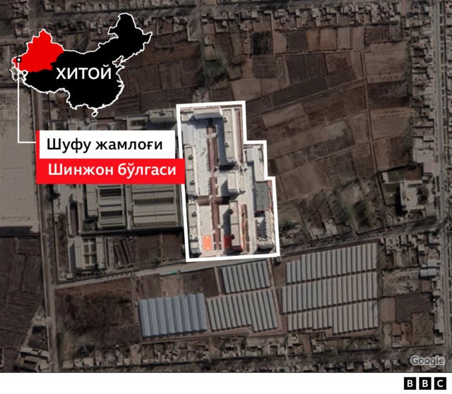 Шуфу жамлоғи