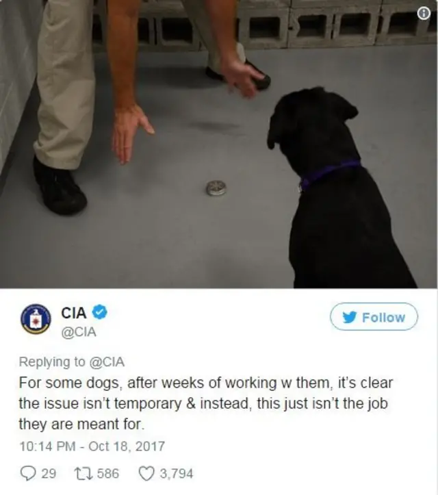 สุนัขบางตัวที่ฝึกไปหลายสัปดาห์ ปรากฏว่ายังมีปัญหาที่แก้ไขไม่ได้ ซึ่งแปลว่านี่ไม่ใช่งานที่ไม่เหมาะกับมัน