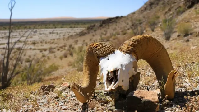 અમેરિકા-મેક્સિકો સરહદની તસવીર