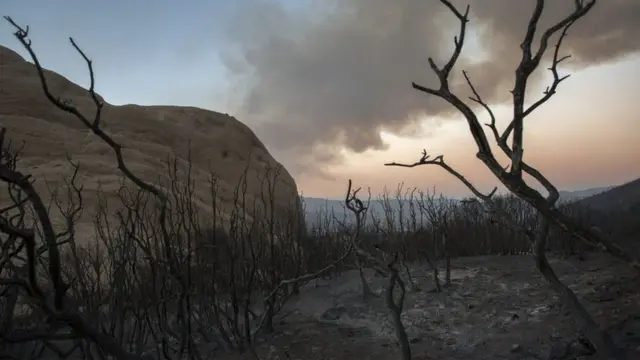 وسعت زمین در ایالات متحده که آتش سوزی جنگلی بر آن تاثیر گذاشته در سال های اخیر افزایش داشته است