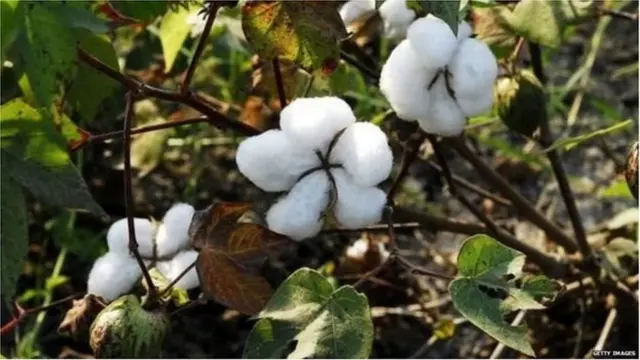 భారత్ పాక్ వాణిజ్యం