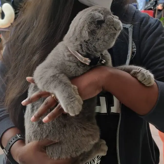 யுக்ரேன் மருத்துவ மாணவர் கவுதம் - பூனை