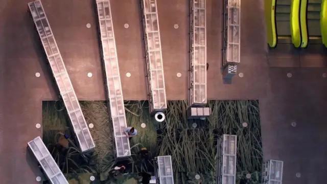 Seattle Halk Kütüphanesi