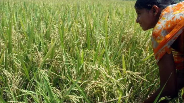 తెలంగాణ మహిళ