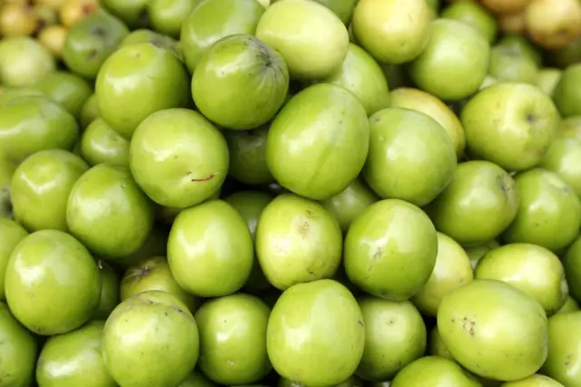 બોરની તસવીર