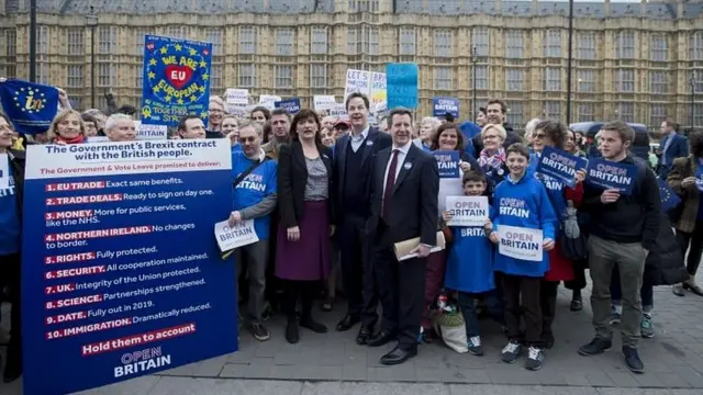 Anti-Brexit campaigners