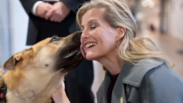 Графиня Уэссекская в центре подготовки собак-поводырей