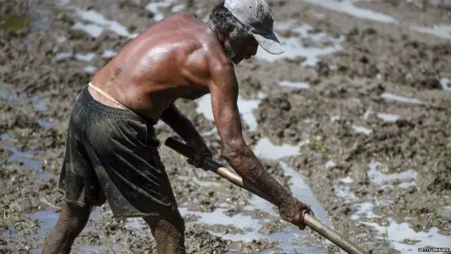 ਸ਼੍ਰੀਲੰਕਾ