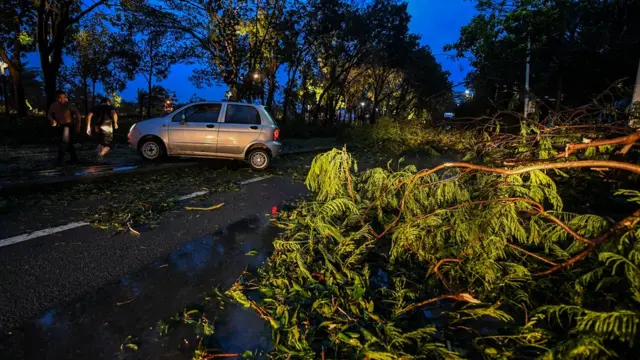 倒塌的樹木擋路，汽車需要改道行駛。