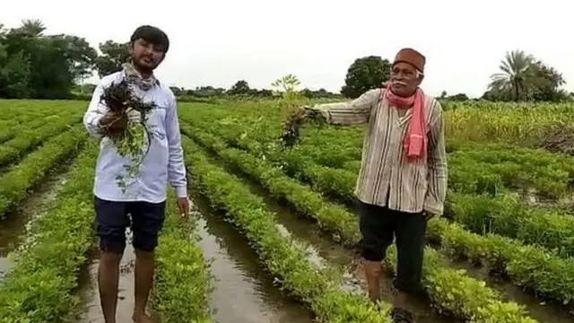ખેડૂતોના ખેતરોમાં પાણી ભરાઈ ગયાં હોવાનો દાવો કરાઈ રહ્યો છે