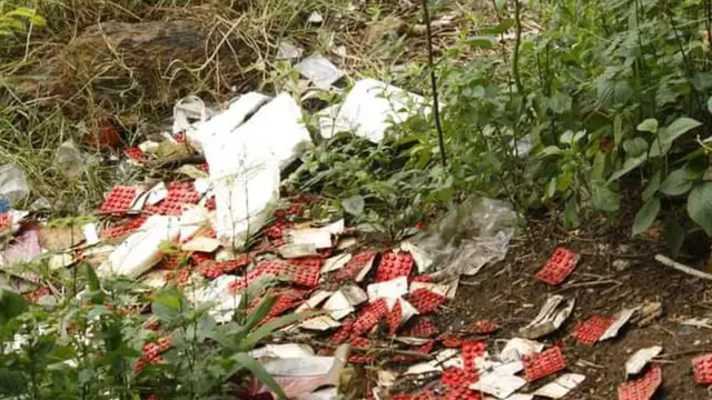 பள்ளிக்கரணை