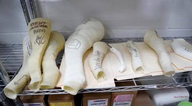 जानवरों के कृत्रिम अंग