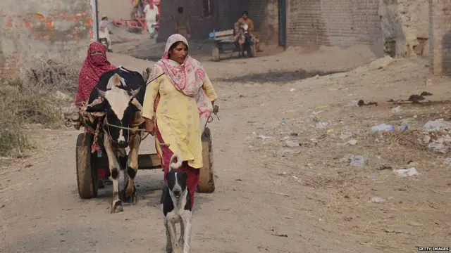 ਪੰਚਾਇਤੀ ਚੋਣਾਂ