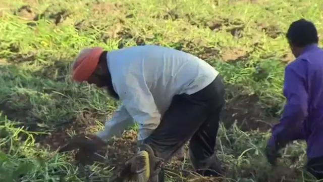 भारतीय मजदूर