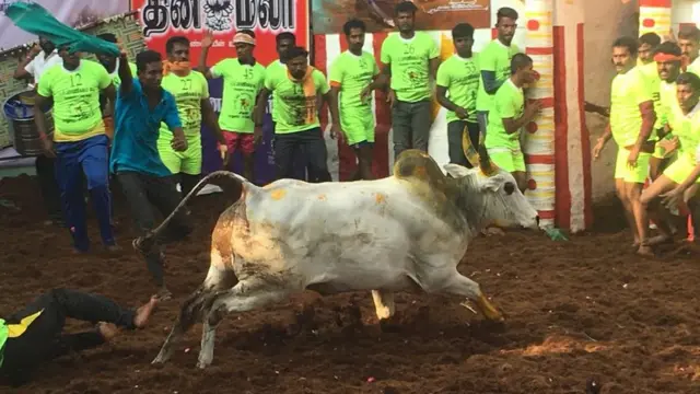 முடிவடைந்தது அலங்காநல்லூர் ஜல்லிக்கட்டு