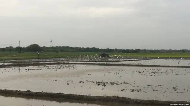 તેલંગાણા